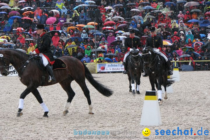 Hengstparade Marbach 2008