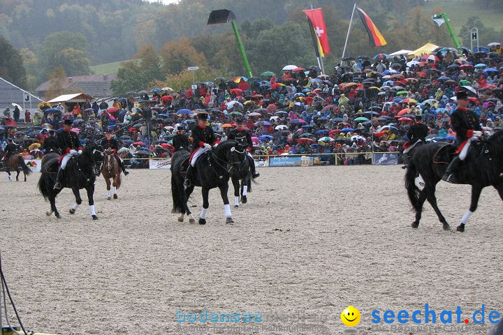 Hengstparade Marbach 2008