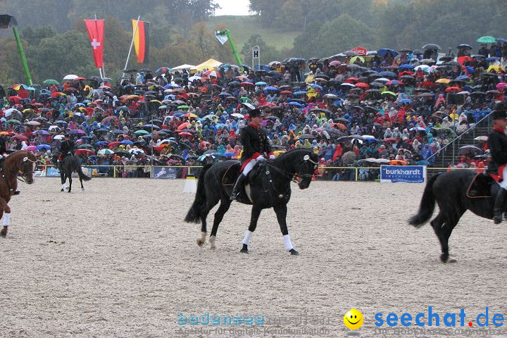 Hengstparade Marbach 2008