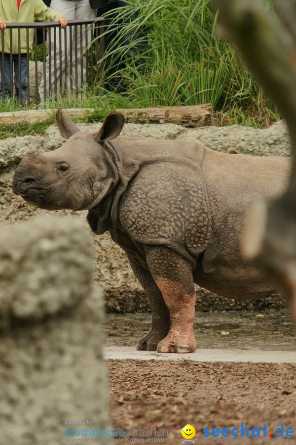 Zoo: Basel, 09.08.2011