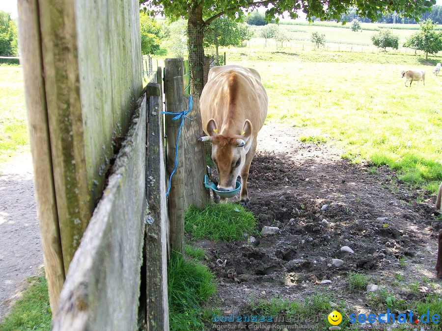 Haustierhof-Reutemuehle-13082011-Bodensee-Community-seechat_de-_115.JPG