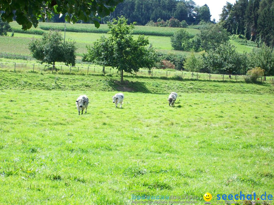 Haustierhof-Reutemuehle-13082011-Bodensee-Community-seechat_de-_116.JPG