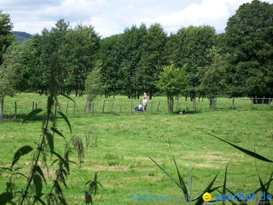 Haustierhof-Reutemuehle-13082011-Bodensee-Community-seechat_de-_122.JPG