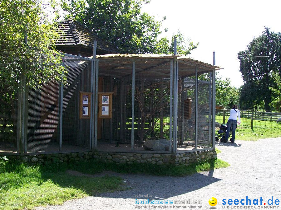 Haustierhof-Reutemuehle-13082011-Bodensee-Community-seechat_de-_142.JPG