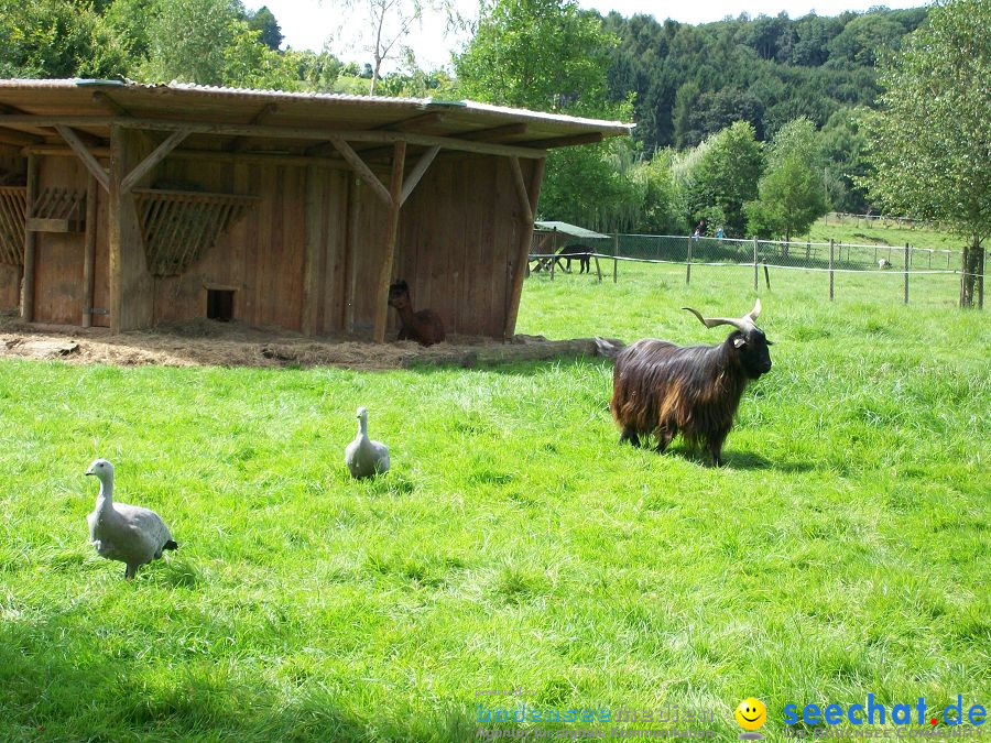 Haustierhof-Reutemuehle-13082011-Bodensee-Community-seechat_de-_96.JPG