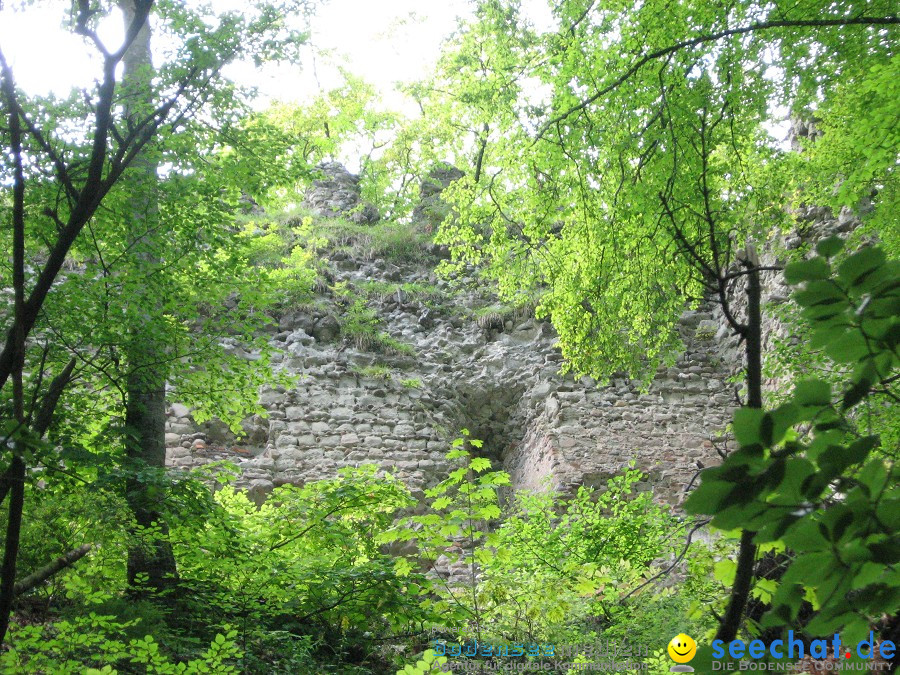 Marienschlucht: Bodman - Wallhausen: Bodensee, 13.08.2011