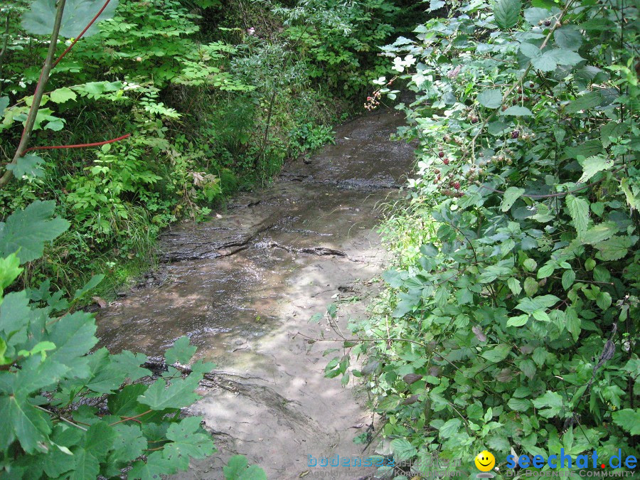 Marienschlucht: Bodman - Wallhausen: Bodensee, 13.08.2011