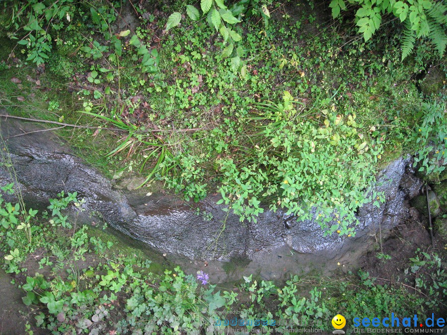 Marienschlucht: Bodman - Wallhausen: Bodensee, 13.08.2011