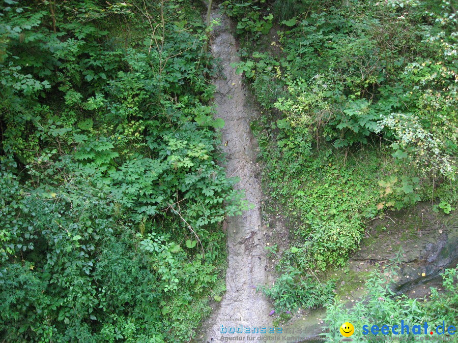 Marienschlucht: Bodman - Wallhausen: Bodensee, 13.08.2011