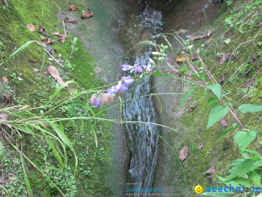 Marienschlucht: Bodman - Wallhausen: Bodensee, 13.08.2011