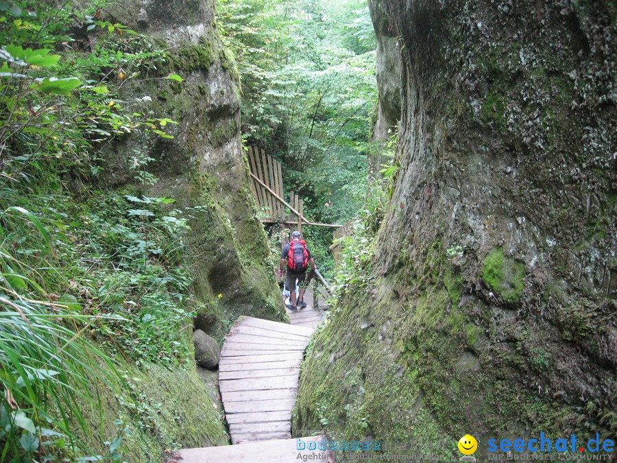 Marienschlucht: Bodman - Wallhausen: Bodensee, 13.08.2011