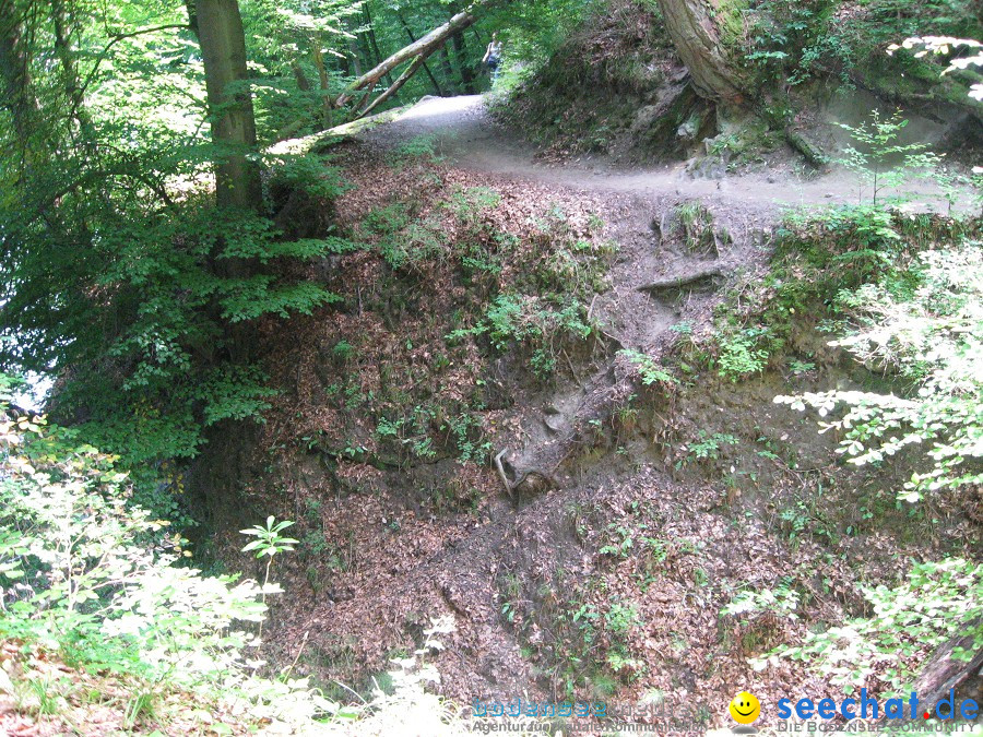 Marienschlucht: Bodman - Wallhausen: Bodensee, 13.08.2011