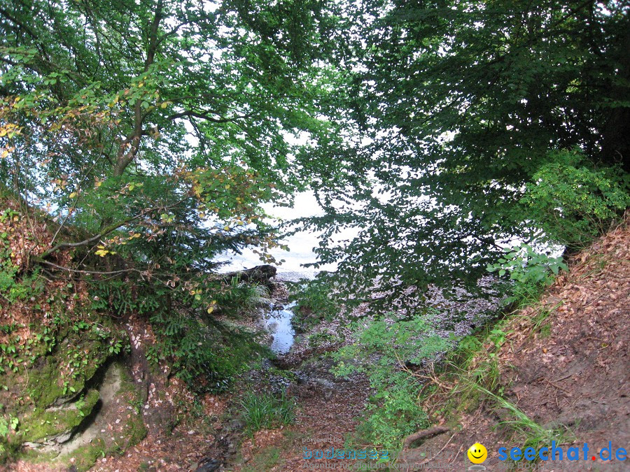 Marienschlucht: Bodman - Wallhausen: Bodensee, 13.08.2011