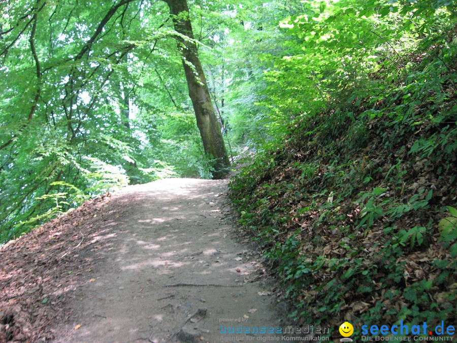 Marienschlucht: Bodman - Wallhausen: Bodensee, 13.08.2011