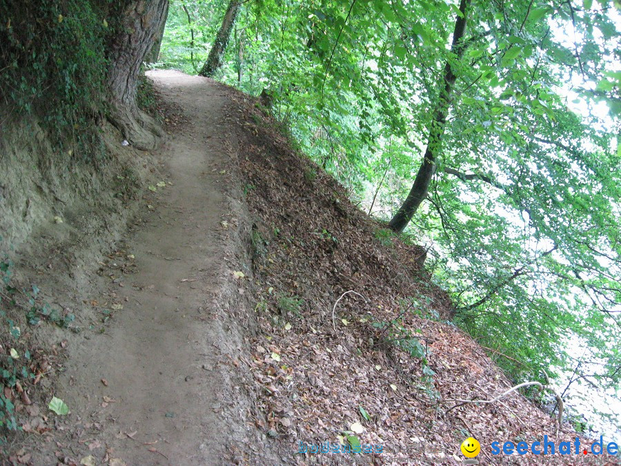 Marienschlucht: Bodman - Wallhausen: Bodensee, 13.08.2011