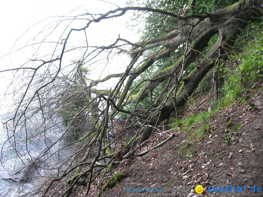 Marienschlucht: Bodman - Wallhausen: Bodensee, 13.08.2011