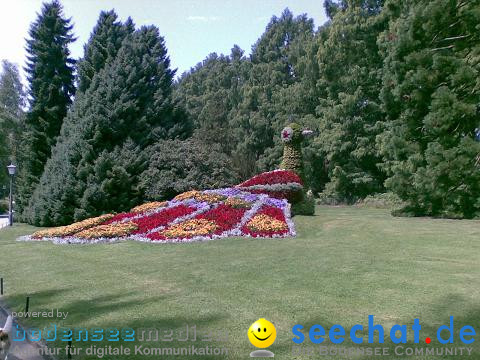 Insel Mainau