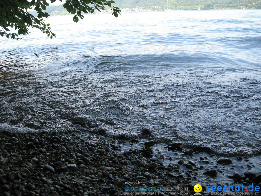 Marienschlucht: Bodman - Wallhausen: Bodensee, 13.08.2011