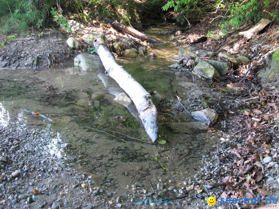 Marienschlucht: Bodman - Wallhausen: Bodensee, 13.08.2011