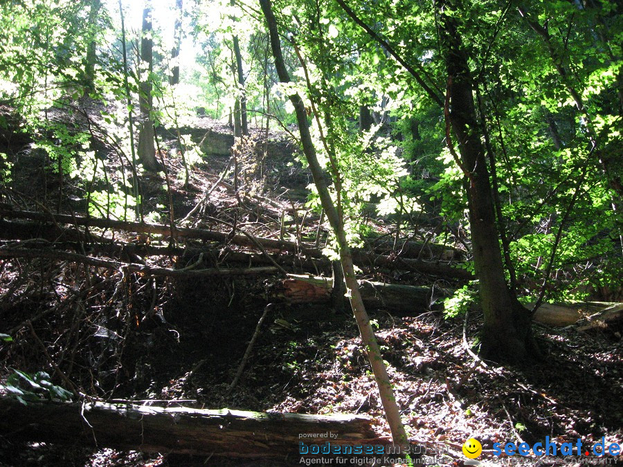 Marienschlucht: Bodman - Wallhausen: Bodensee, 13.08.2011