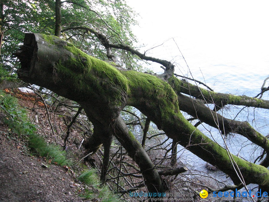 Marienschlucht: Bodman - Wallhausen: Bodensee, 13.08.2011