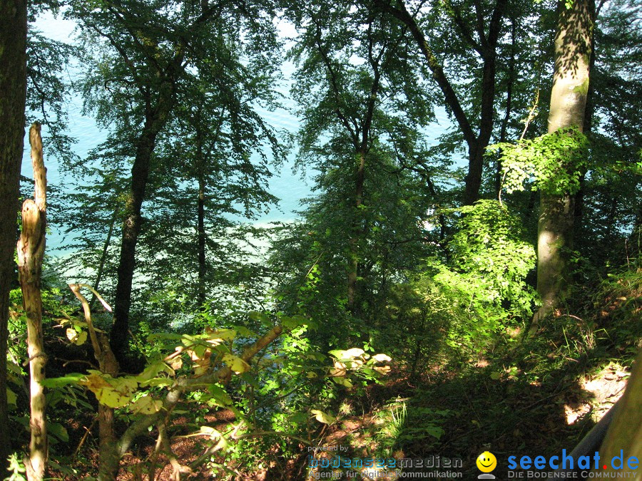 Marienschlucht: Bodman - Wallhausen: Bodensee, 13.08.2011