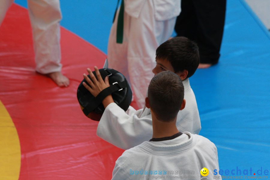 Ju-Jutsu Training: Konstanz am Bodensee, 13.08.2011