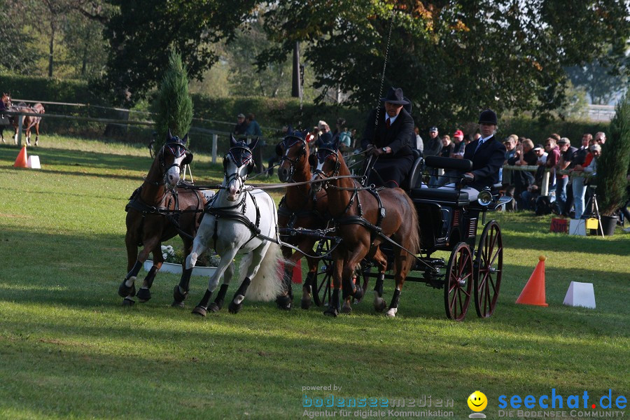 CHI-Donaueschingen Reitturnier 2011: Donaueschingen, 25.09.2011