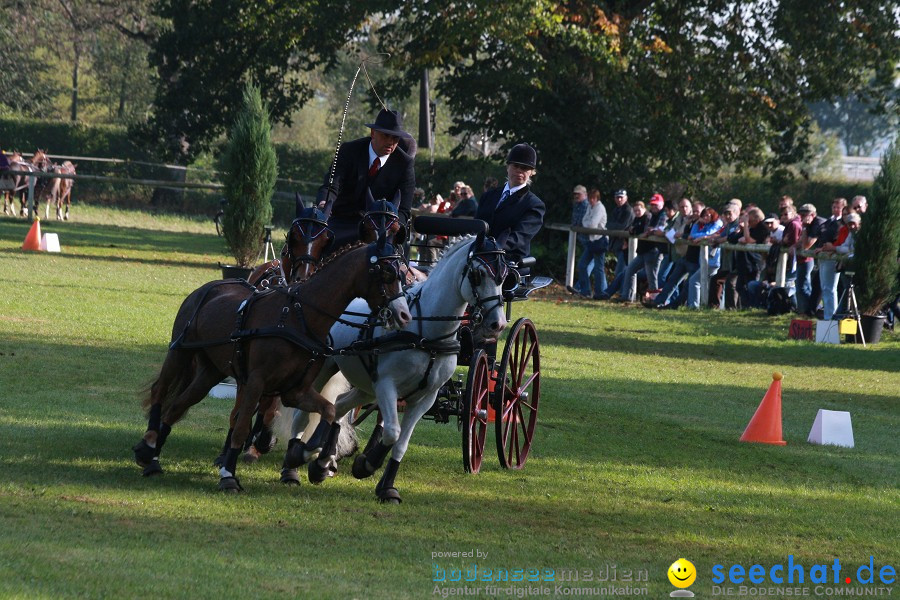 CHI-Donaueschingen Reitturnier 2011: Donaueschingen, 25.09.2011