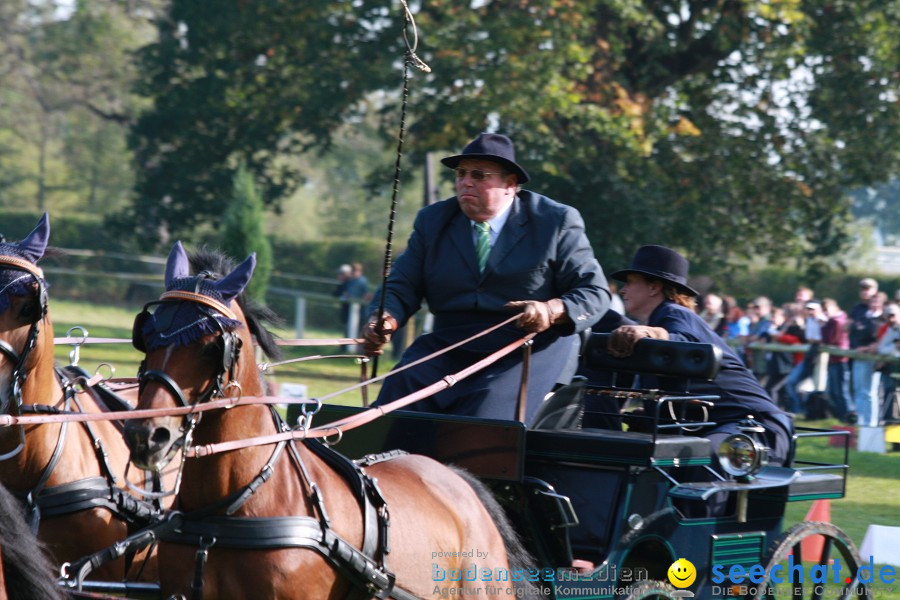 CHI-Donaueschingen Reitturnier 2011: Donaueschingen, 25.09.2011