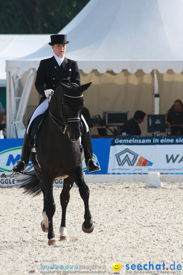 CHI-Donaueschingen Reitturnier 2011: Donaueschingen, 25.09.2011