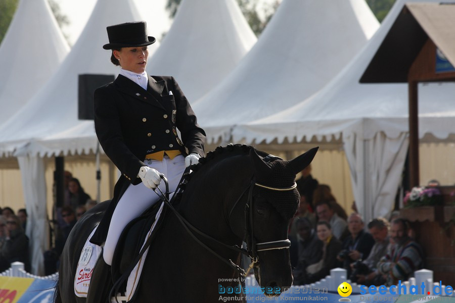 CHI-Donaueschingen Reitturnier 2011: Donaueschingen, 25.09.2011