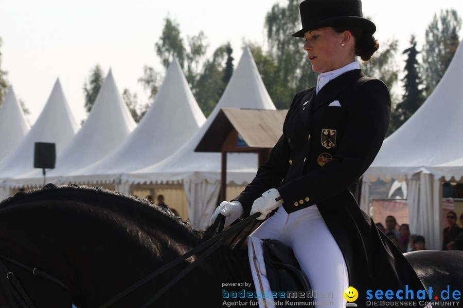 CHI-Donaueschingen Reitturnier 2011: Donaueschingen, 25.09.2011