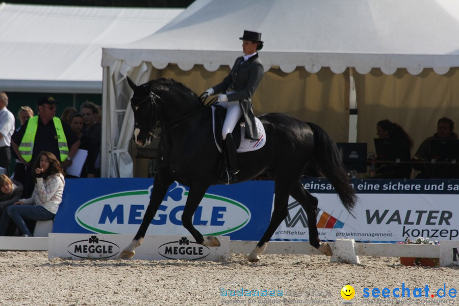 CHI-Donaueschingen Reitturnier 2011: Donaueschingen, 25.09.2011