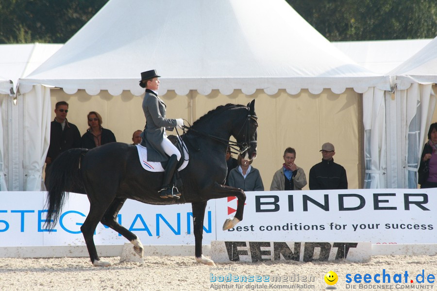 CHI-Donaueschingen Reitturnier 2011: Donaueschingen, 25.09.2011