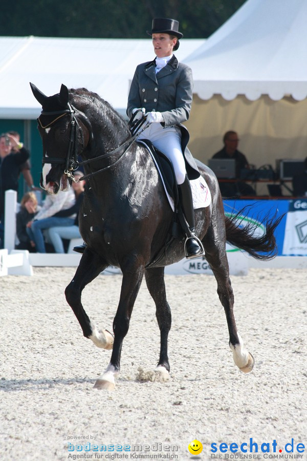 CHI-Donaueschingen Reitturnier 2011: Donaueschingen, 25.09.2011