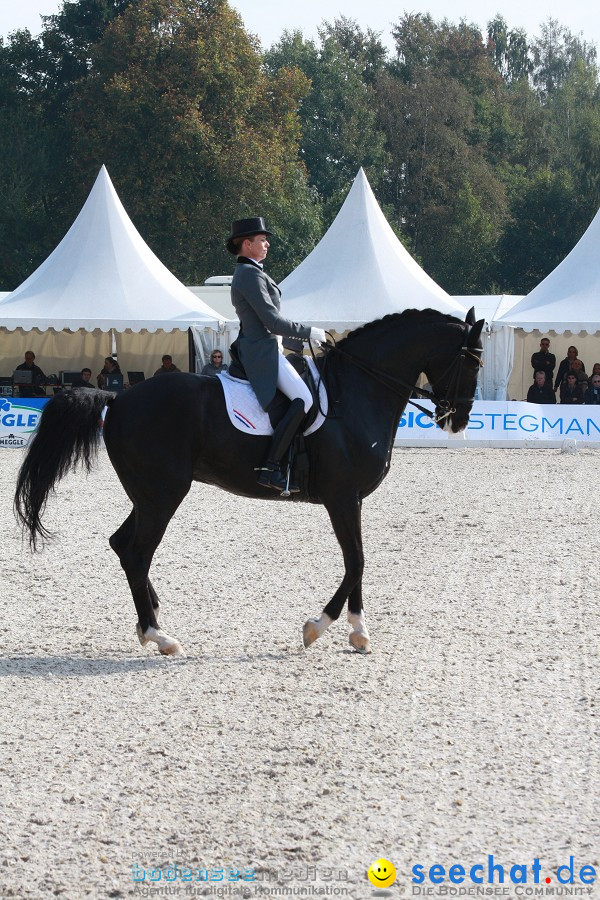 CHI-Donaueschingen Reitturnier 2011: Donaueschingen, 25.09.2011