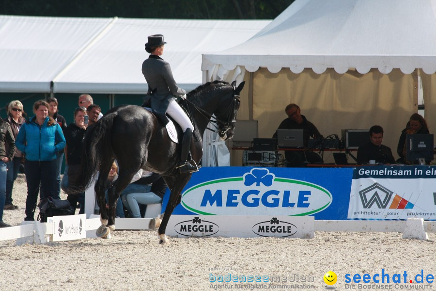 CHI-Donaueschingen Reitturnier 2011: Donaueschingen, 25.09.2011