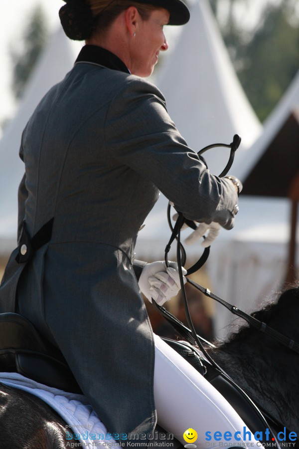 CHI-Donaueschingen Reitturnier 2011: Donaueschingen, 25.09.2011