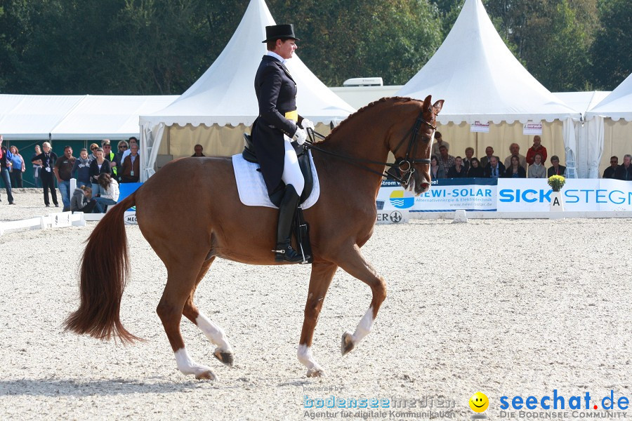 CHI-Donaueschingen Reitturnier 2011: Donaueschingen, 25.09.2011