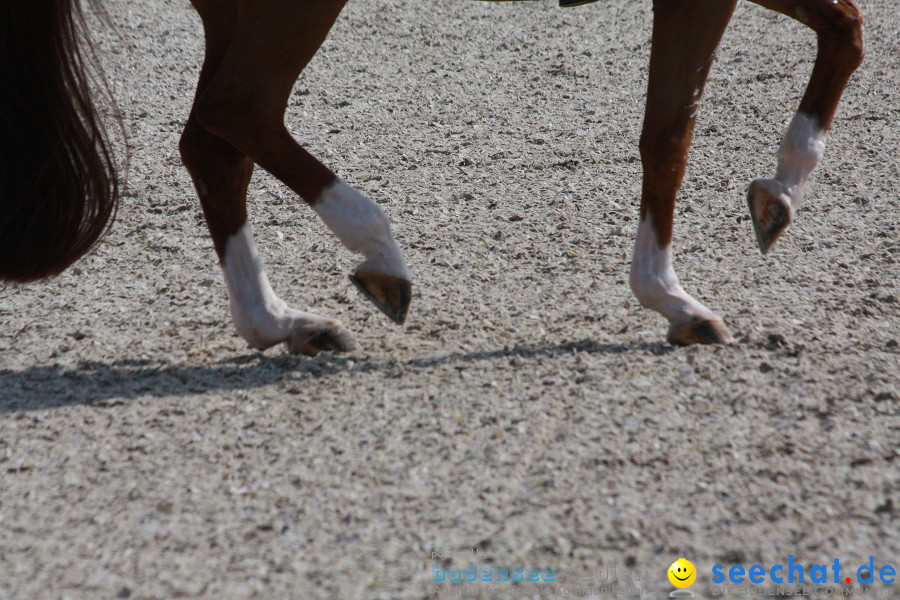 CHI-Donaueschingen Reitturnier 2011: Donaueschingen, 25.09.2011