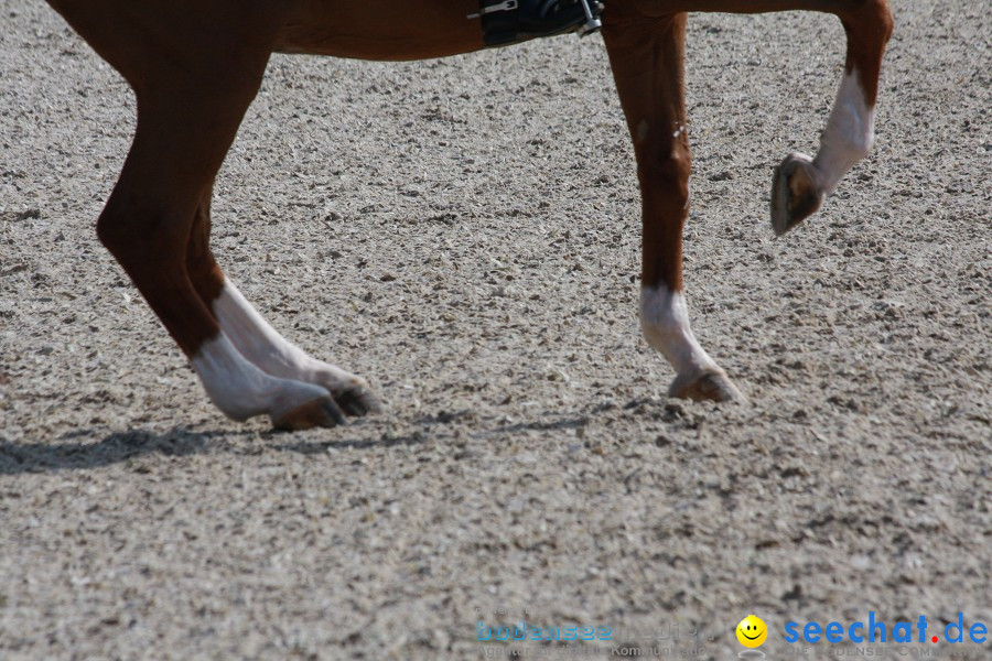 CHI-Donaueschingen Reitturnier 2011: Donaueschingen, 25.09.2011