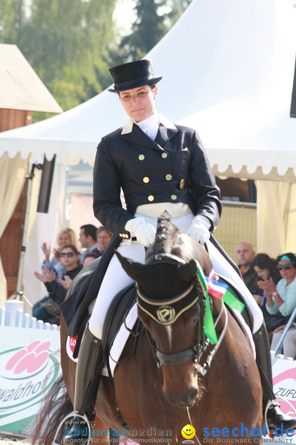 CHI-Donaueschingen Reitturnier 2011: Donaueschingen, 25.09.2011