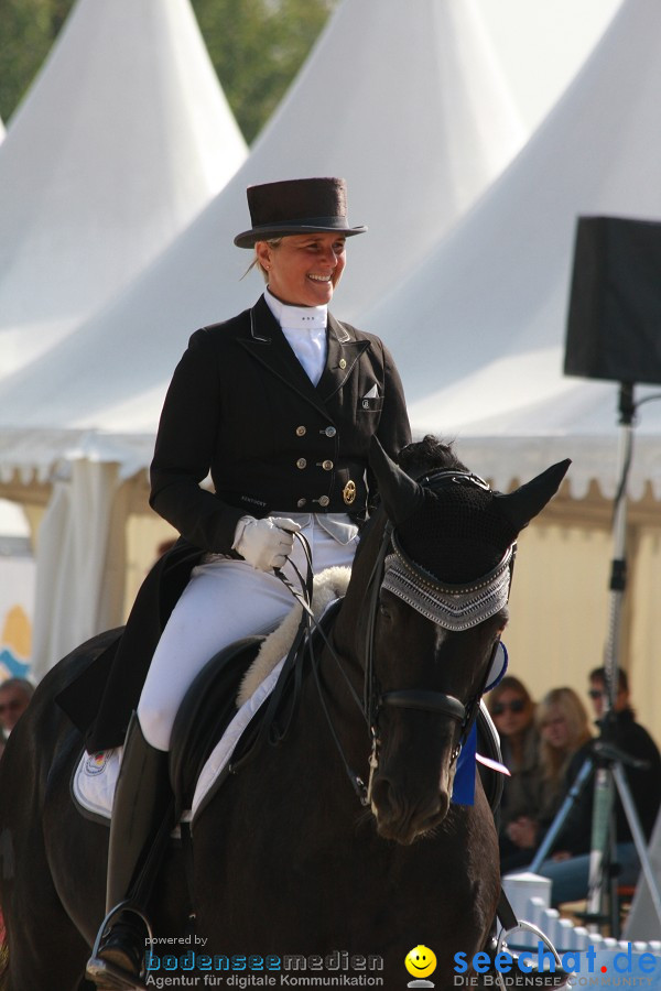 CHI-Donaueschingen Reitturnier 2011: Donaueschingen, 25.09.2011