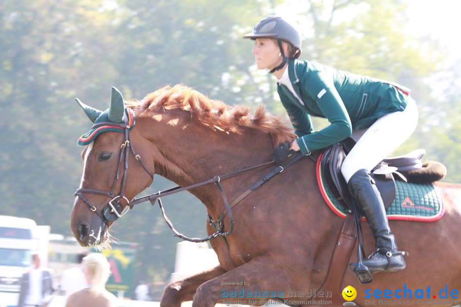 CHI-Donaueschingen Reitturnier 2011: Donaueschingen, 25.09.2011