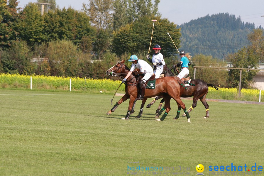 CHI-Donaueschingen Reitturnier 2011: Donaueschingen, 25.09.2011