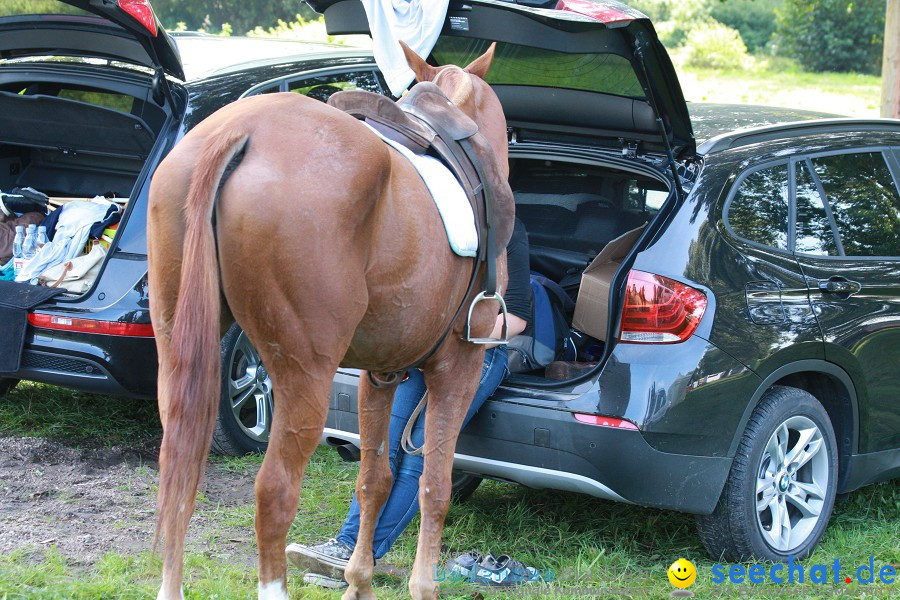 CHI-Donaueschingen Reitturnier 2011: Donaueschingen, 25.09.2011