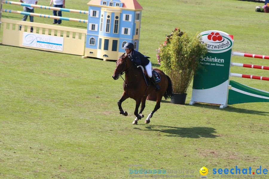 CHI-Donaueschingen Reitturnier 2011: Donaueschingen, 25.09.2011