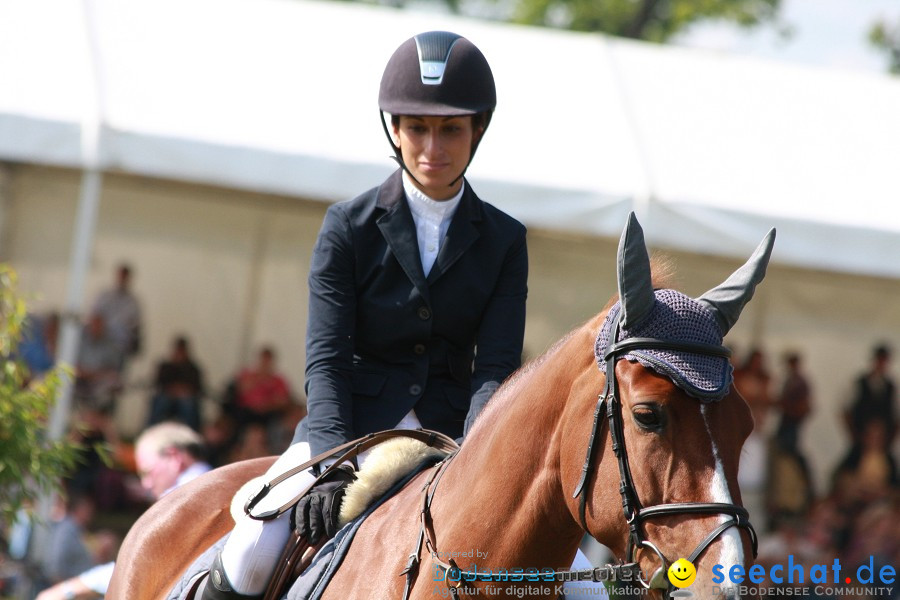 CHI-Donaueschingen Reitturnier 2011: Donaueschingen, 25.09.2011