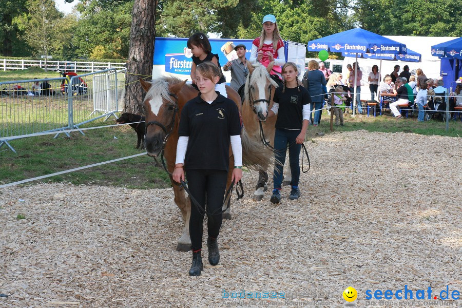 CHI-Donaueschingen Reitturnier 2011: Donaueschingen, 25.09.2011